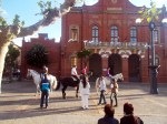 Caballos en plaza 3