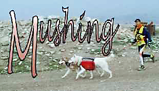 mushing